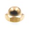 Prime-Line Cap Nut, 5/16"-18, Brass, Brass, 10 PK 9077465 - alternate 1